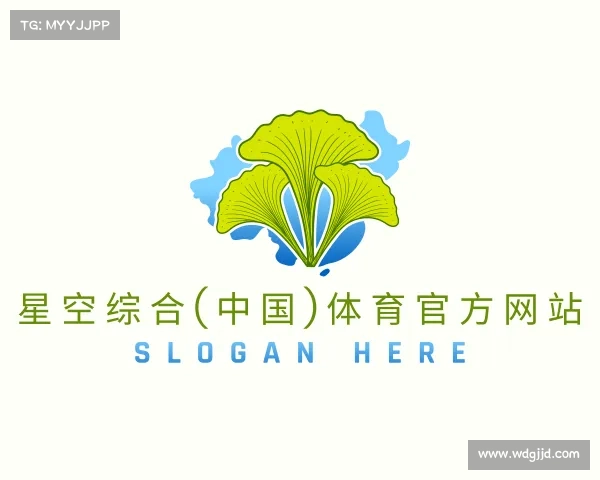 网址星空综合(中国)体育官方网站